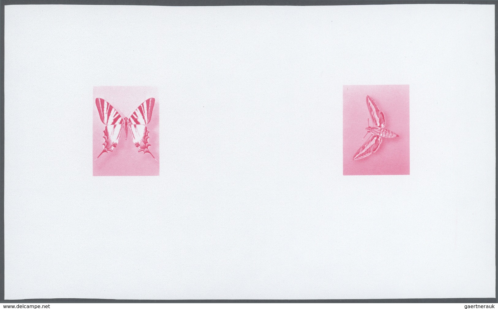 Thematik: Tiere-Schmetterlinge / Animals-butterflies: 1981/1982, Morocco. Composite, Progressive Pro - Papillons