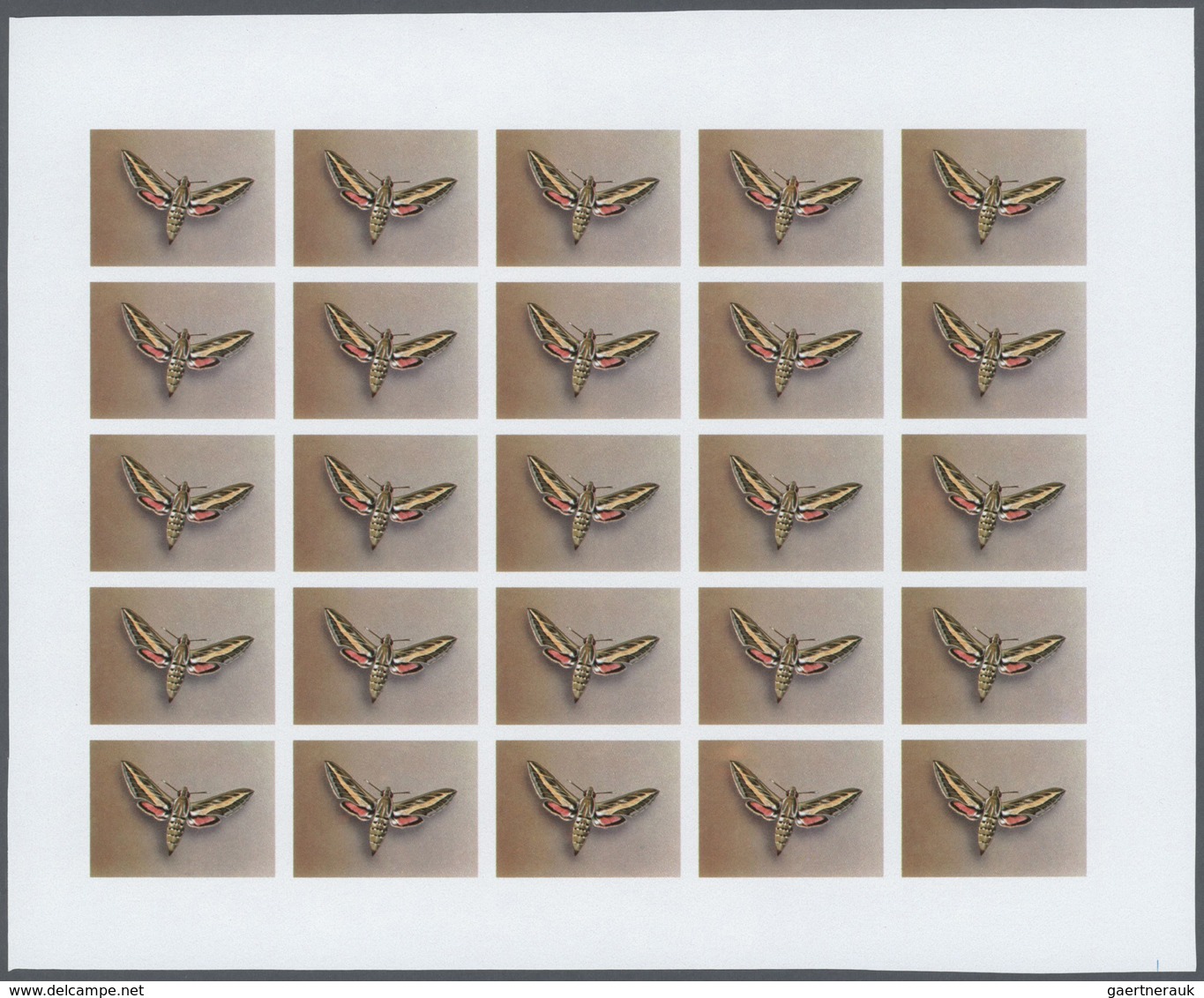 Thematik: Tiere-Schmetterlinge / Animals-butterflies: 1982, Morocco. Progressive Proofs Set Of Sheet - Papillons