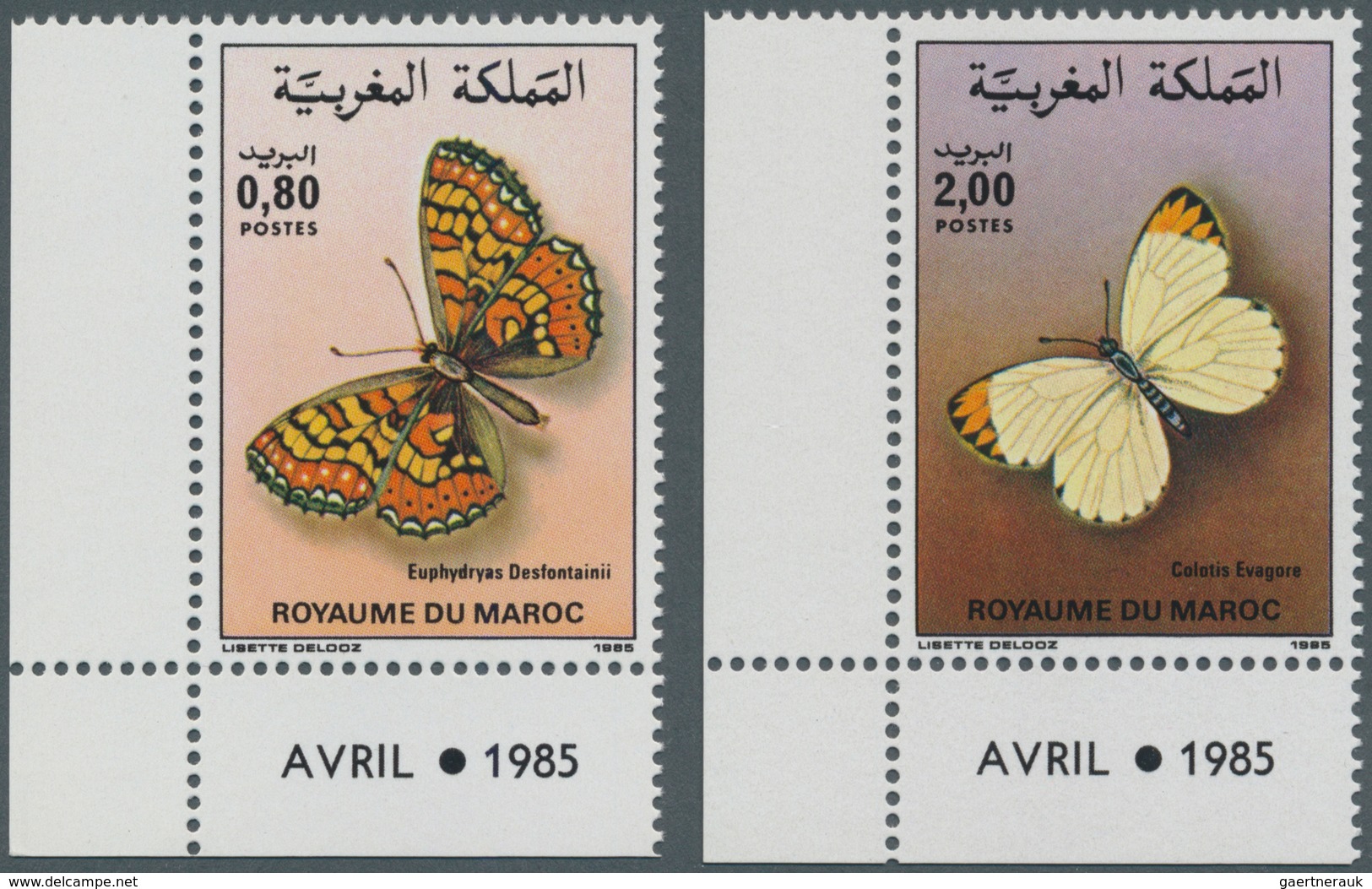 Thematik: Tiere-Schmetterlinge / Animals-butterflies: 1985, MOROCCO: Butterflies Set Of Two 0.80dh. - Mariposas