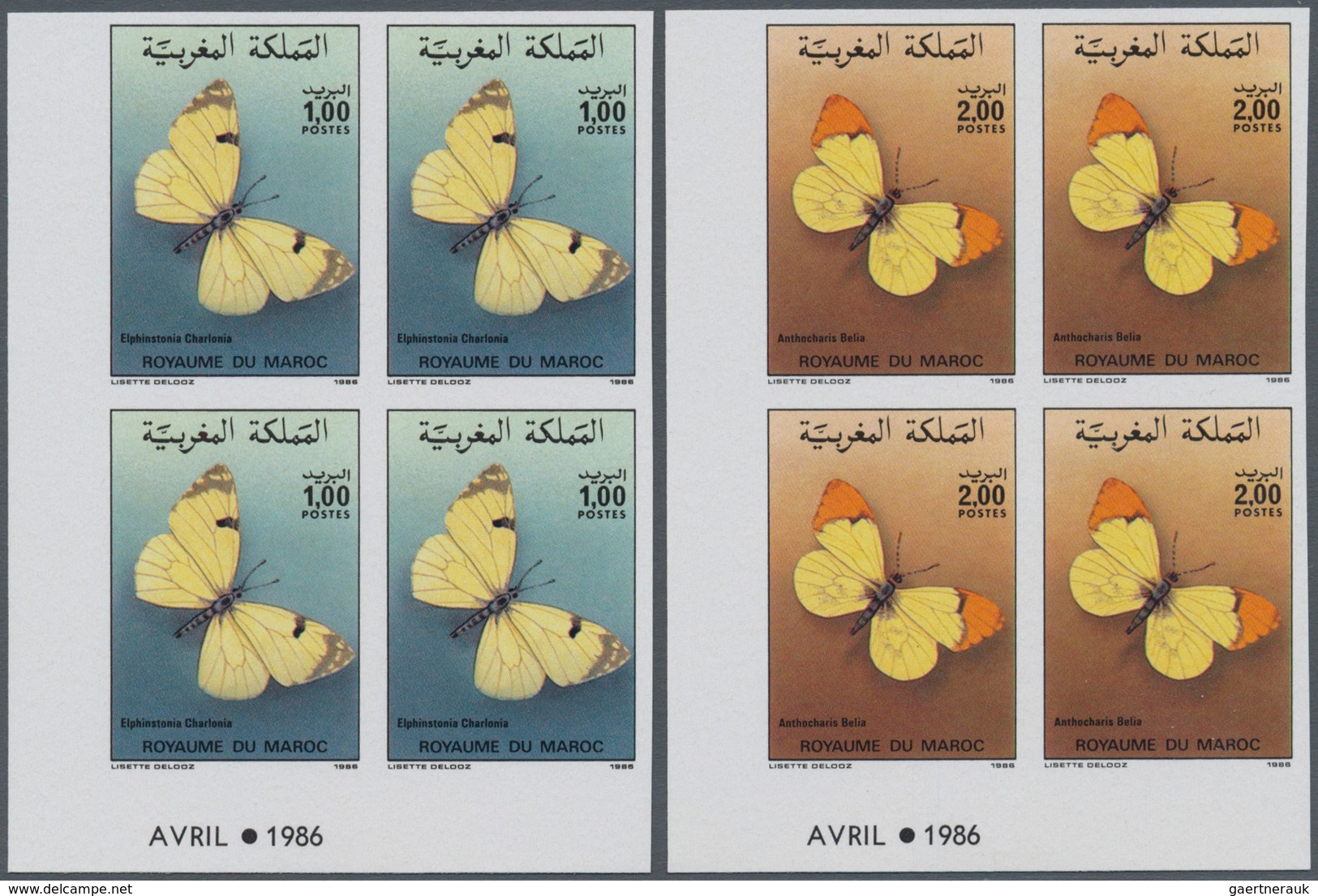 Thematik: Tiere-Schmetterlinge / Animals-butterflies: 1986, MOROCCO: Butterflies Set Of Two 1.00dh. - Papillons