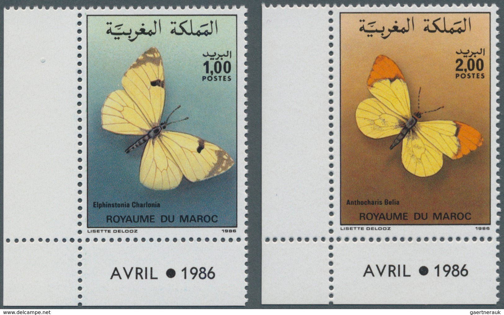 Thematik: Tiere-Schmetterlinge / Animals-butterflies: 1986, MOROCCO: Butterflies Set Of Two 1.00dh. - Papillons