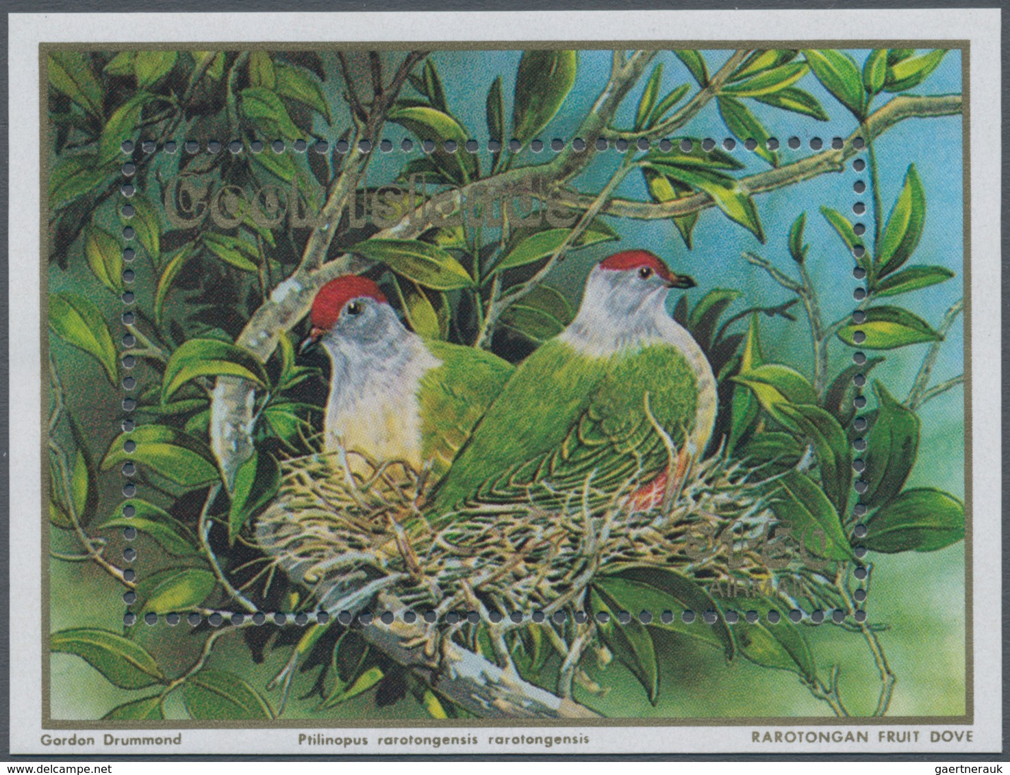 Thematik: Tiere-Tauben / Animals-pigeons: 1989, COOK ISLANDS: Rarotongan Fruit Dove (Ptilinopus Raro - Tauben & Flughühner
