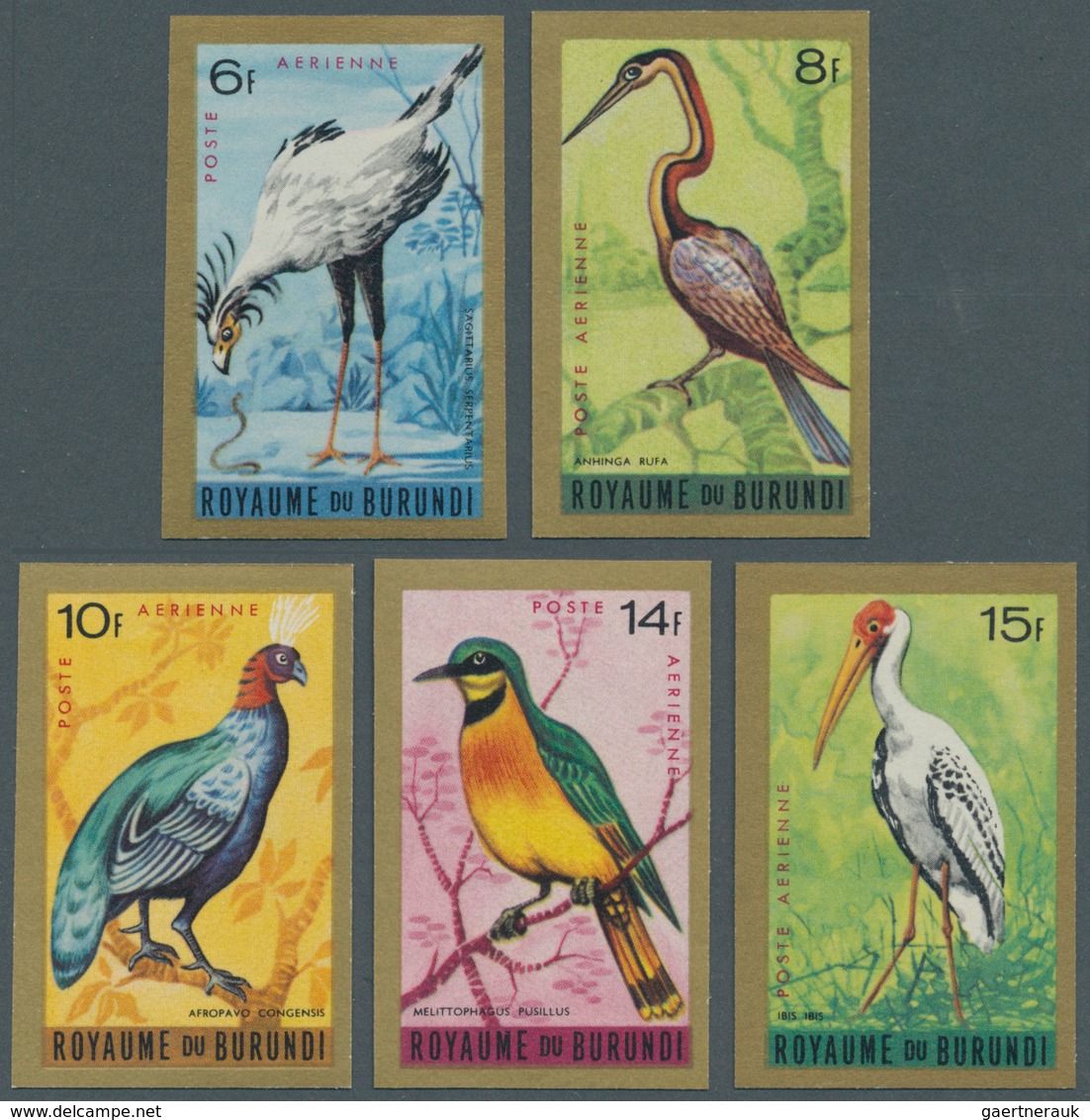 Thematik: Tiere-Vögel / Animals-birds: 1965, BURUNDI: Birds Airmails Complete IMPERFORATE Set Of Nin - Otros & Sin Clasificación