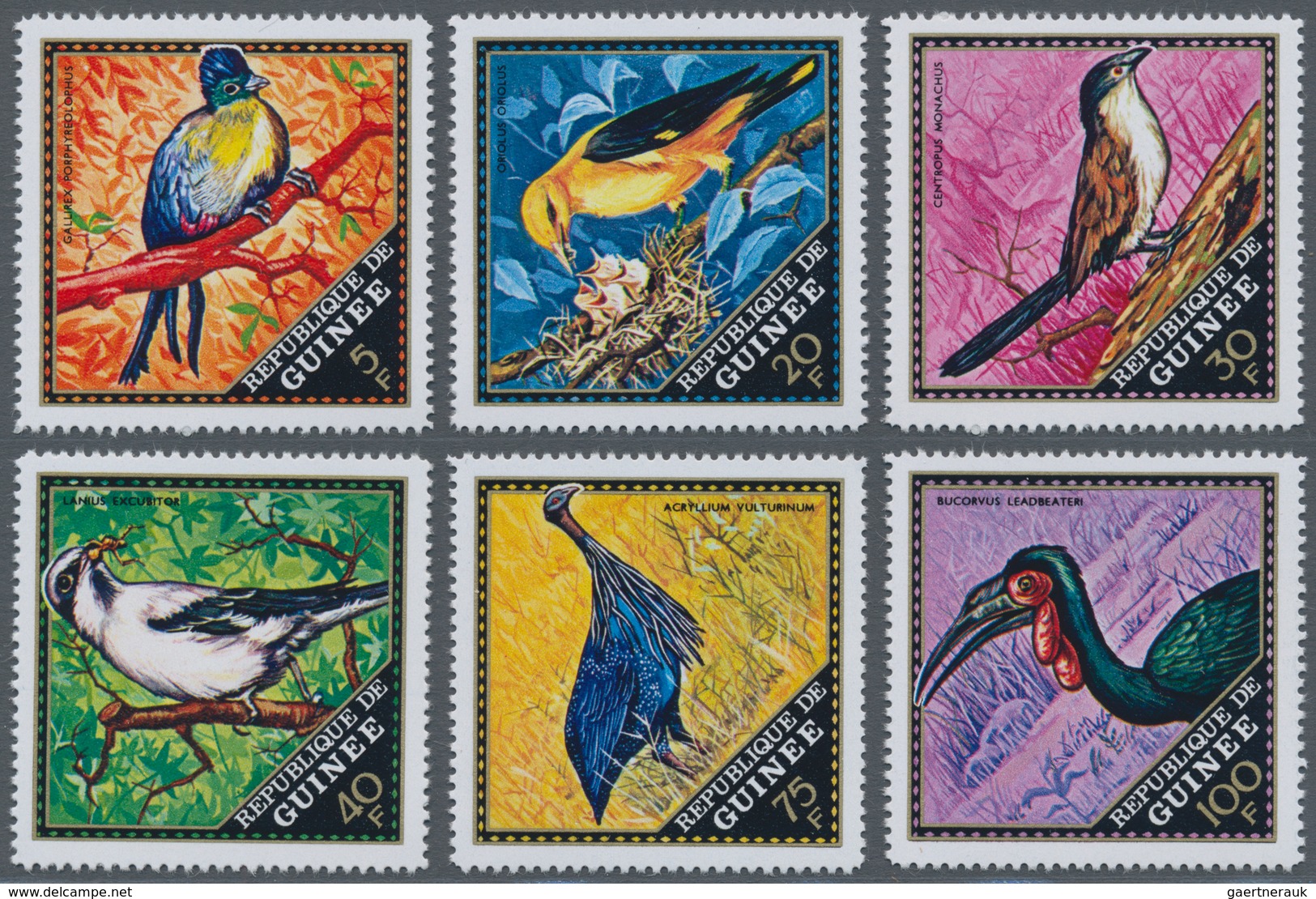 Thematik: Tiere-Vögel / Animals-birds: 1971, GUINEA: Native Birds Complete Set Of Six (NO Airmail St - Autres & Non Classés