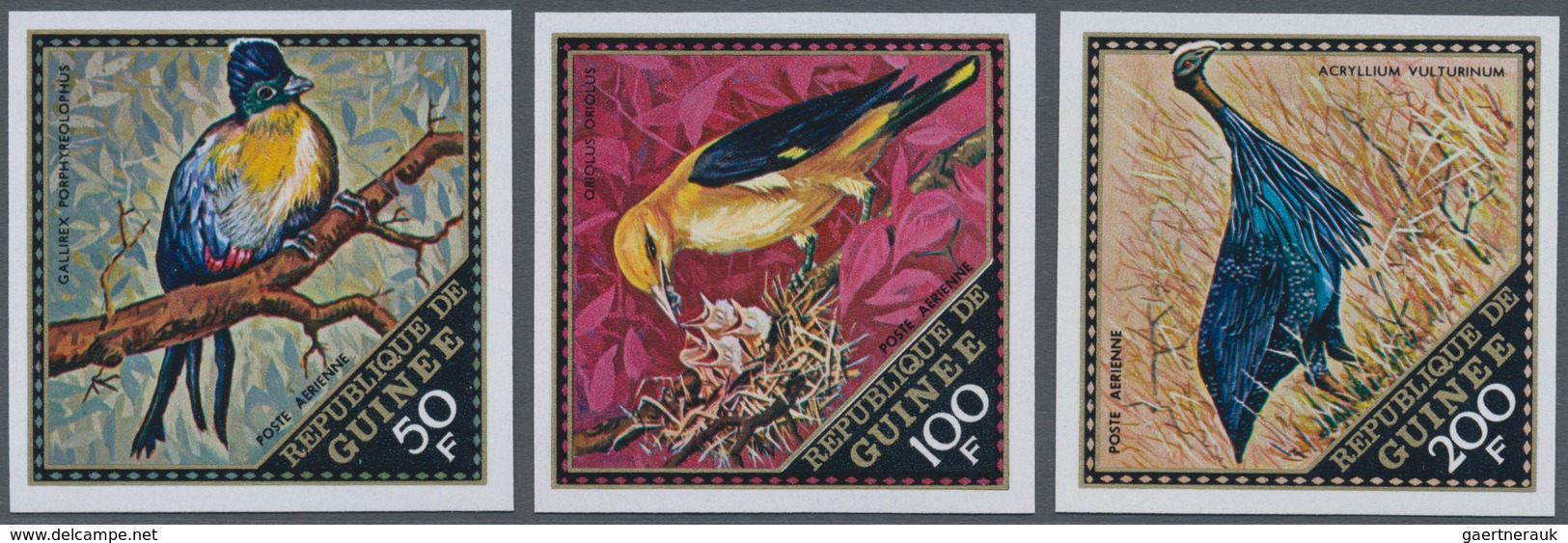 Thematik: Tiere-Vögel / Animals-birds: 1971, GUINEA: Native Birds Complete Set Of Three IMPERFORATE - Autres & Non Classés