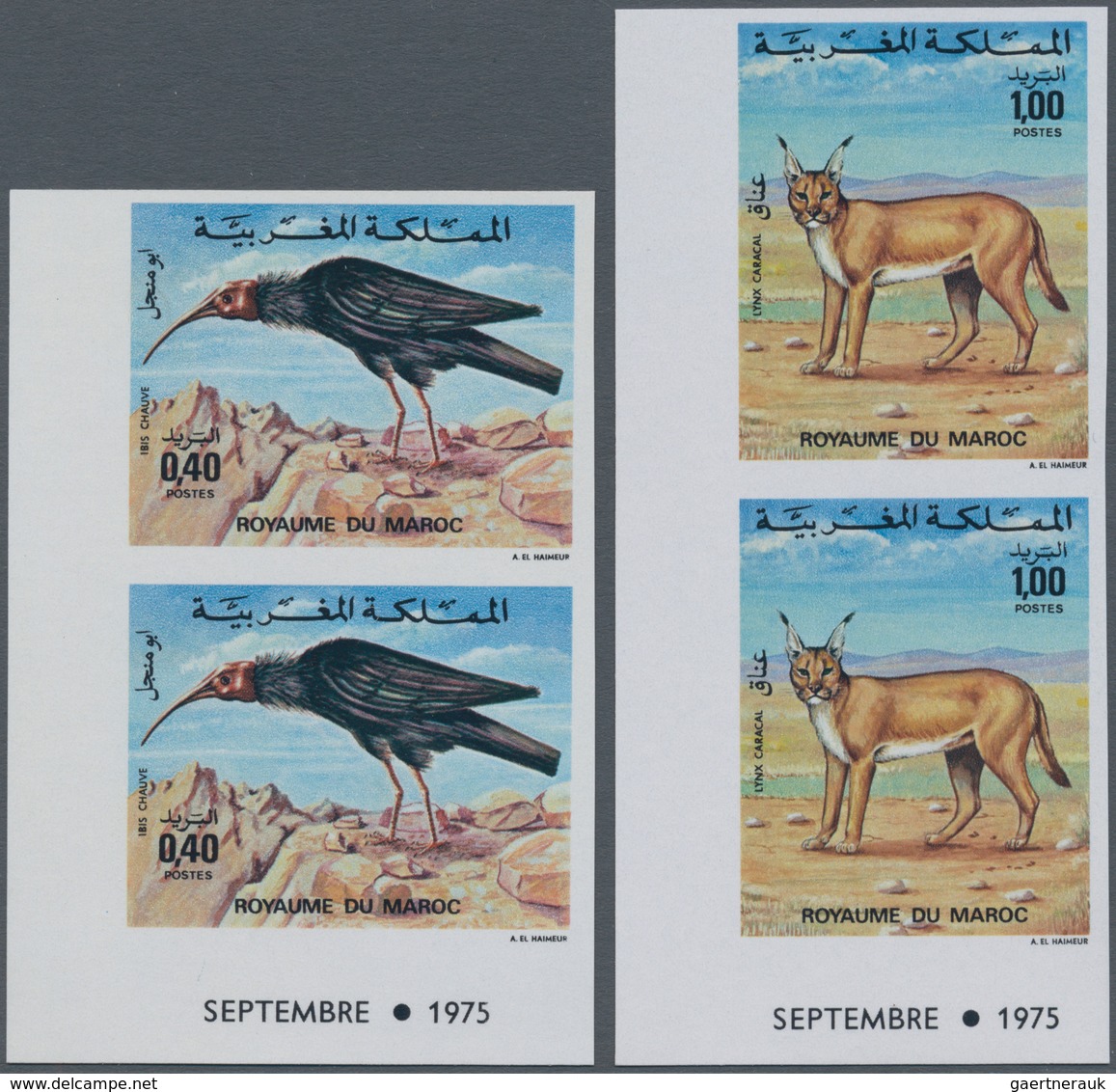 Thematik: Tiere-Vögel / Animals-birds: 1975, MOROCCO: Animals Set Of Two 0.40dh. ‚Geronticus Eremita - Autres & Non Classés
