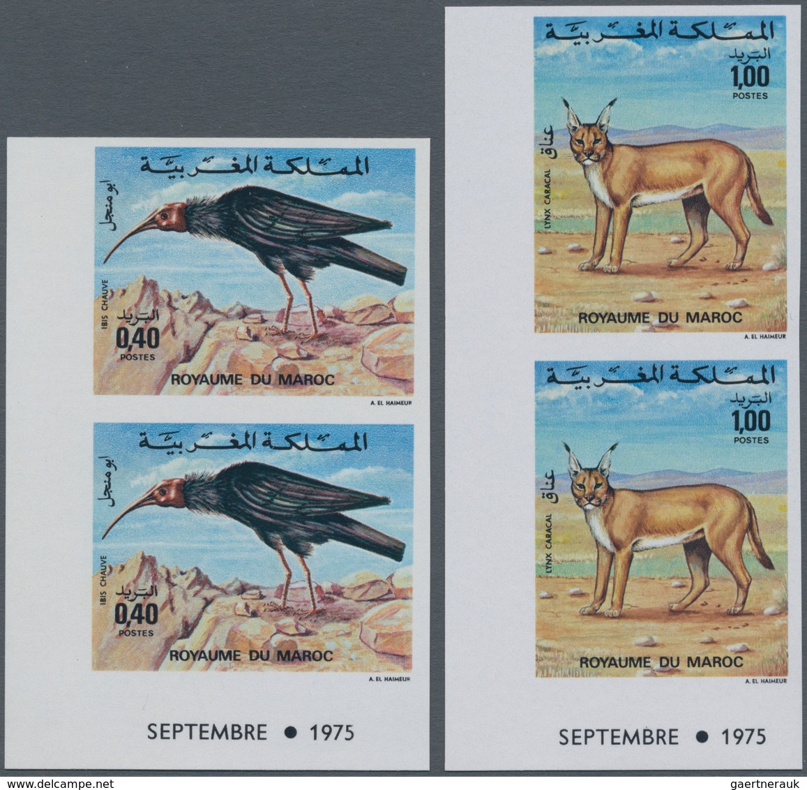 Thematik: Tiere-Vögel / Animals-birds: 1975, MOROCCO: Animals Set Of Two 0.40dh. ‚Geronticus Eremita - Otros & Sin Clasificación