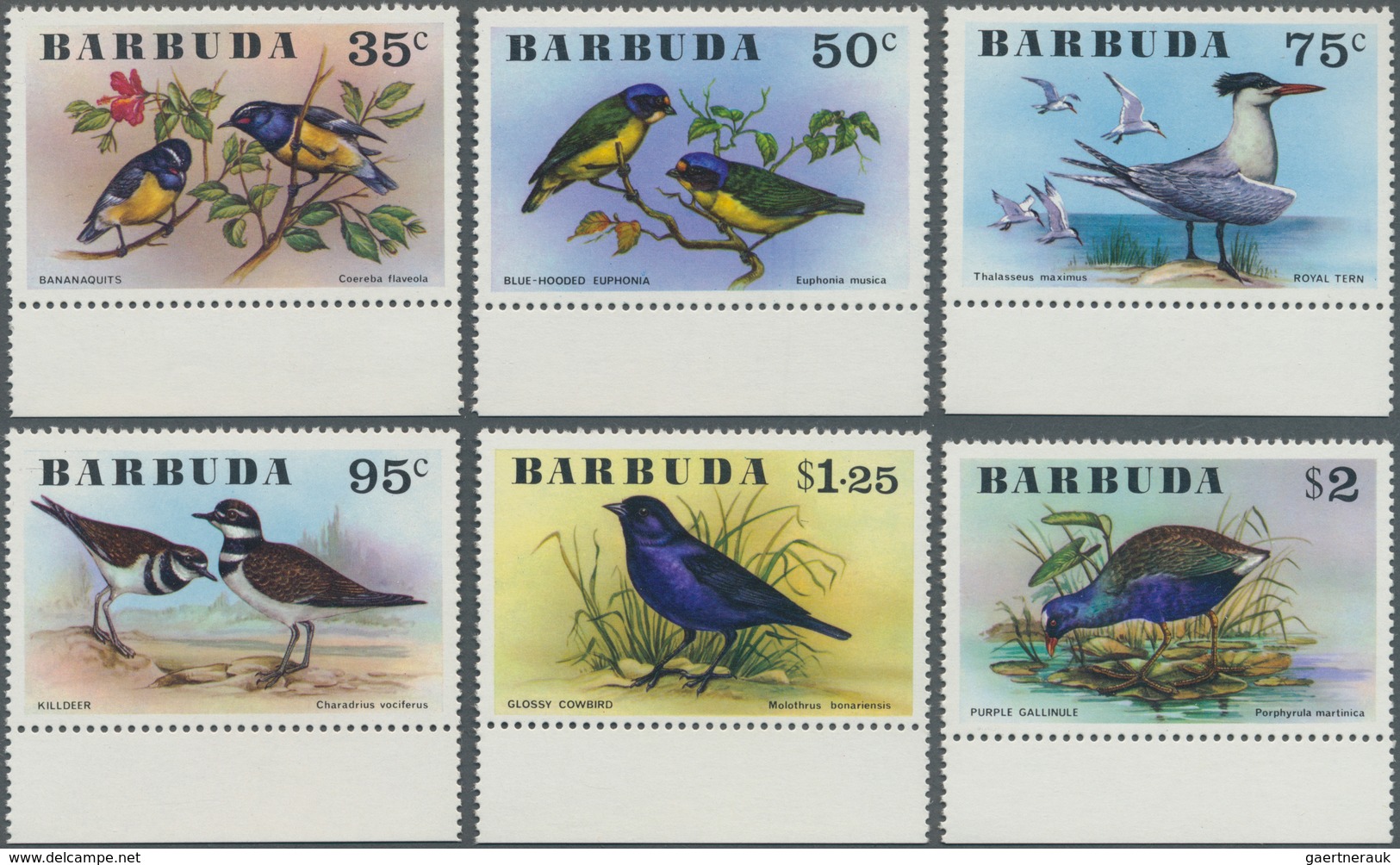 Thematik: Tiere-Vögel / Animals-birds: 1976, BARBUDA: Birds Complete Set Of Six In A Lot With 40 Set - Autres & Non Classés