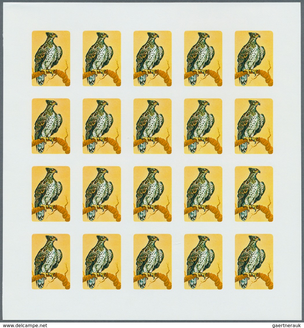 Thematik: Tiere-Vögel / animals-birds: 1979, Burundi. Progressive proofs set of sheets for the BIRDS