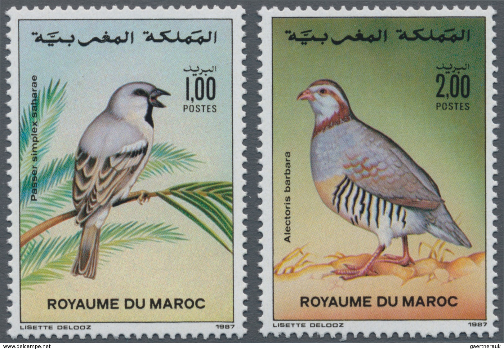 Thematik: Tiere-Vögel / Animals-birds: 1987, MOROCCO: Birds Set Of Two 1.00dh. ‚Passer Simplex Sahar - Otros & Sin Clasificación