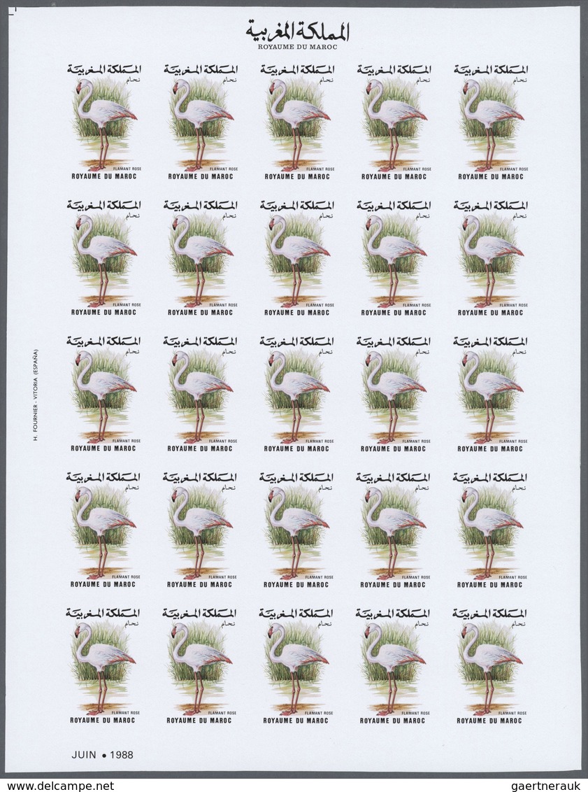 Thematik: Tiere-Vögel / Animals-birds: 1988, Morocco. Progressive Proofs Set Of Sheets For The Issue - Otros & Sin Clasificación