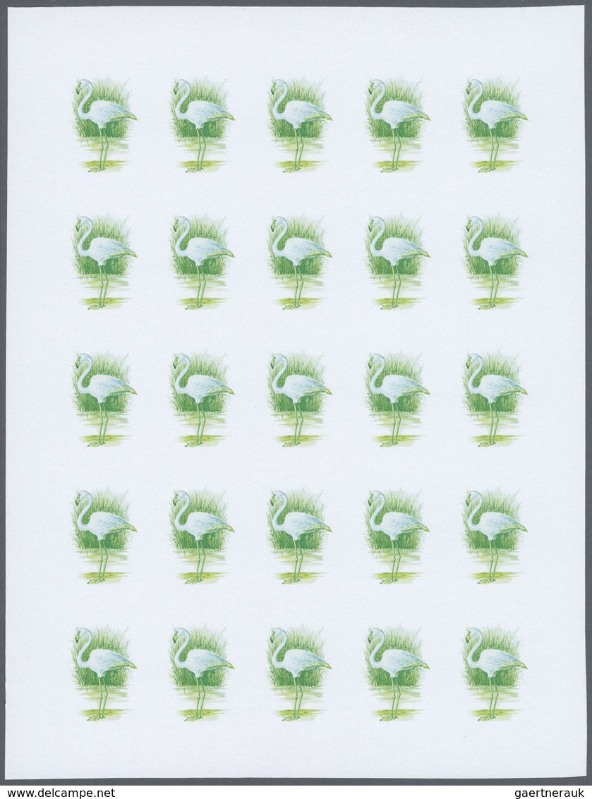 Thematik: Tiere-Vögel / Animals-birds: 1988, Morocco. Progressive Proofs Set Of Sheets For The Issue - Autres & Non Classés