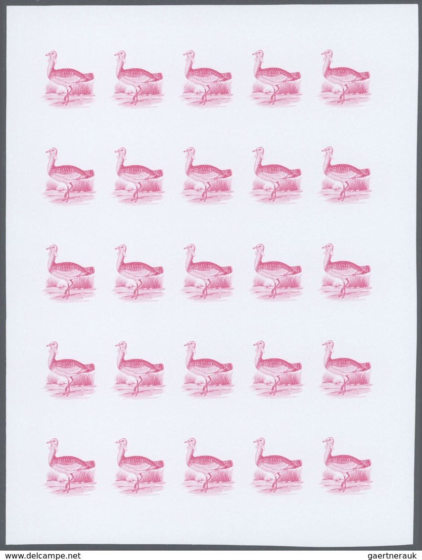 Thematik: Tiere-Vögel / Animals-birds: 1988, Morocco. Progressive Proofs Set Of Sheets For The Issue - Otros & Sin Clasificación