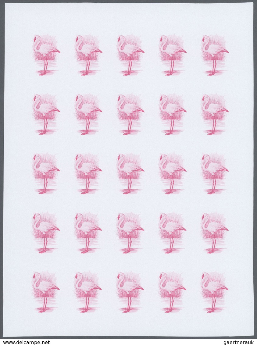 Thematik: Tiere-Vögel / animals-birds: 1988, Morocco. Progressive proofs set of sheets for the issue