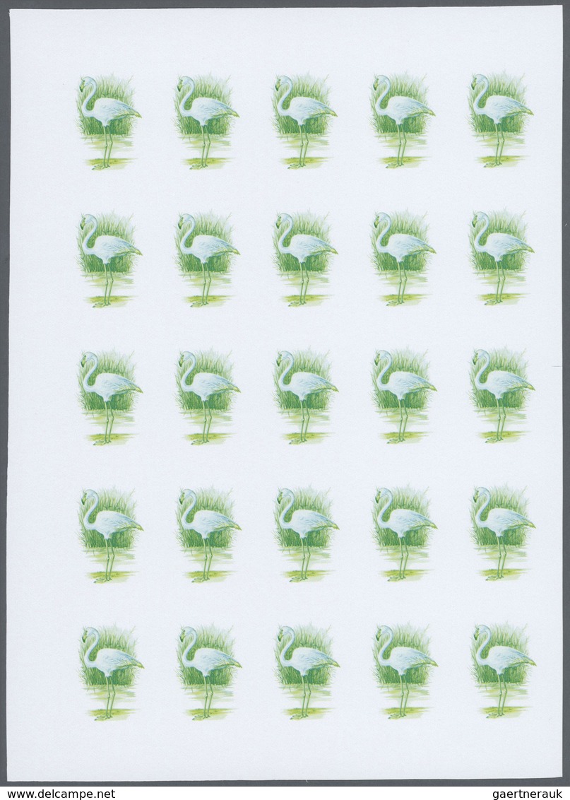 Thematik: Tiere-Vögel / animals-birds: 1988, Morocco. Progressive proofs set of sheets for the issue