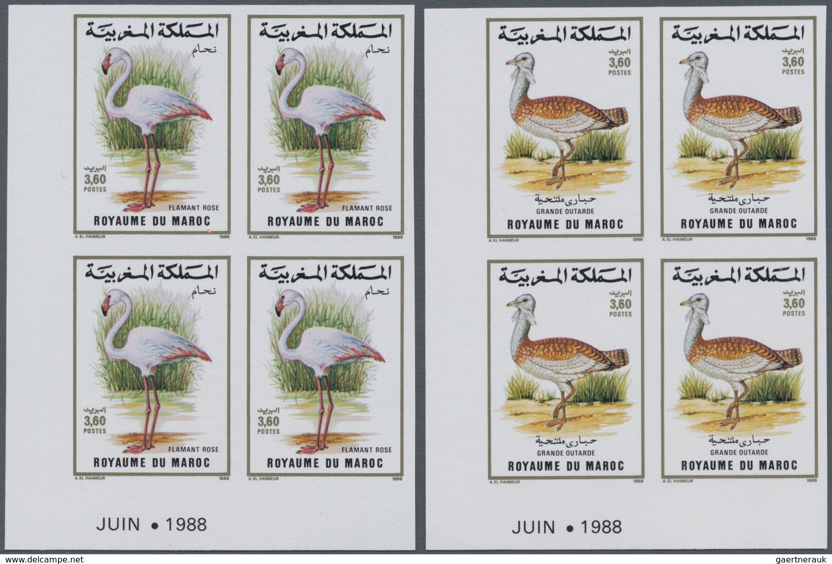 Thematik: Tiere-Vögel / Animals-birds: 1988, MOROCCO: Birds Set Of Two 3.60dh. ‚Phoenicopterus Ruber - Autres & Non Classés