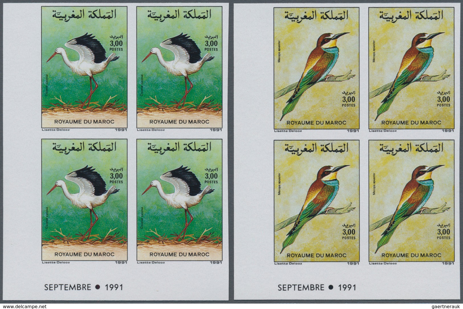 Thematik: Tiere-Vögel / Animals-birds: 1991, MOROCCO: Birds Set Of Two 3.00dh. ‚Ciconia Ciconia‘ And - Autres & Non Classés