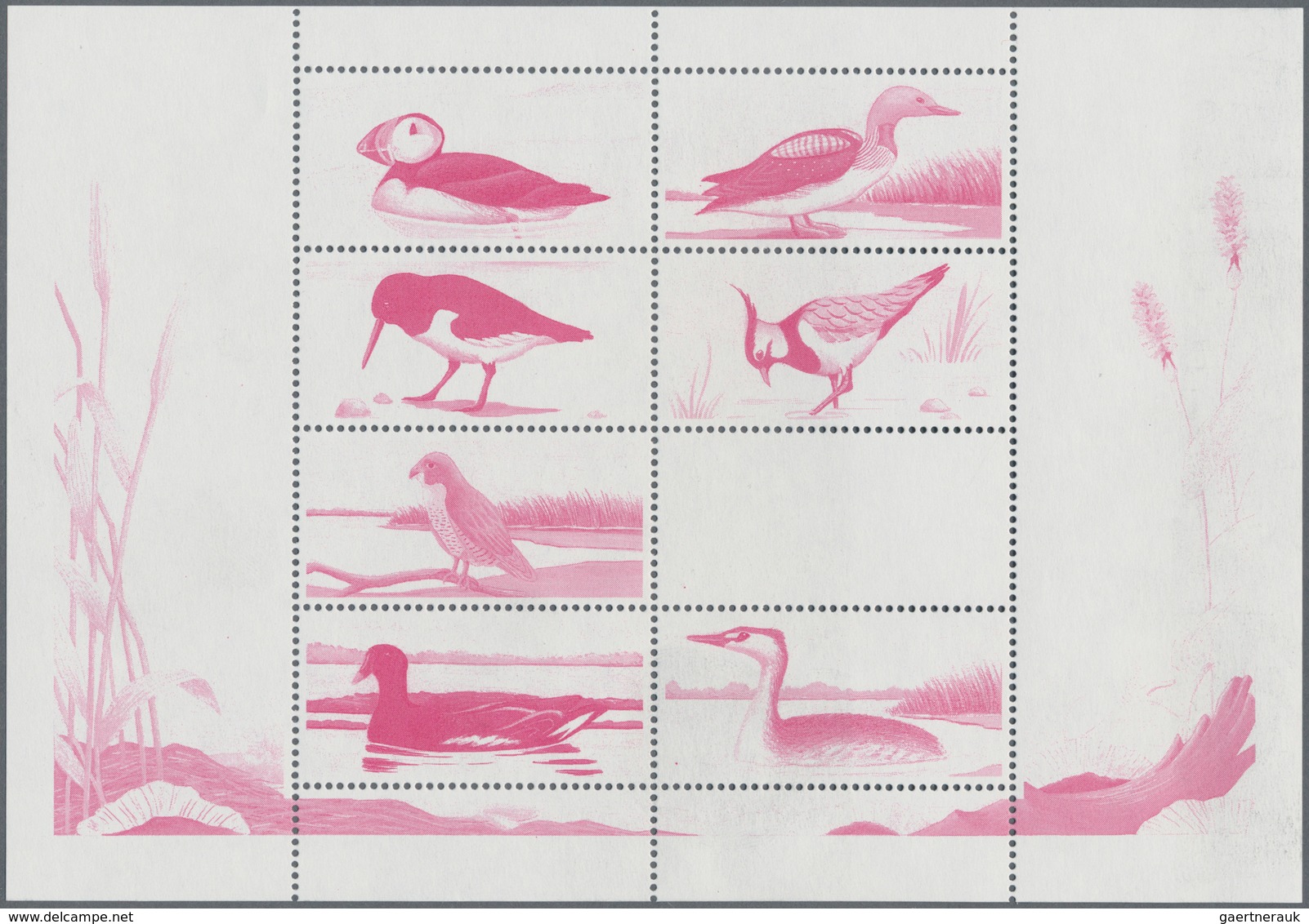 Thematik: Tiere-Vögel / Animals-birds: 1994, ABKHAZIA: Accumulation With About 1.800 Complete Sheetl - Otros & Sin Clasificación