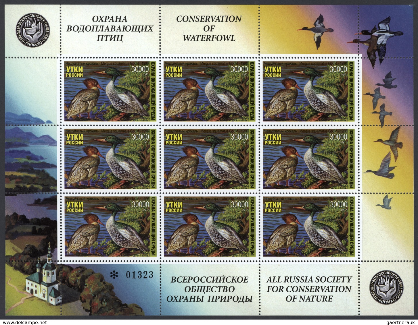 Thematik: Tiere-Wasservögel / Animals-water Birds: 1996, 30.000 R. Waterfowl Duck Stamp MNH, 167 Min - Other & Unclassified