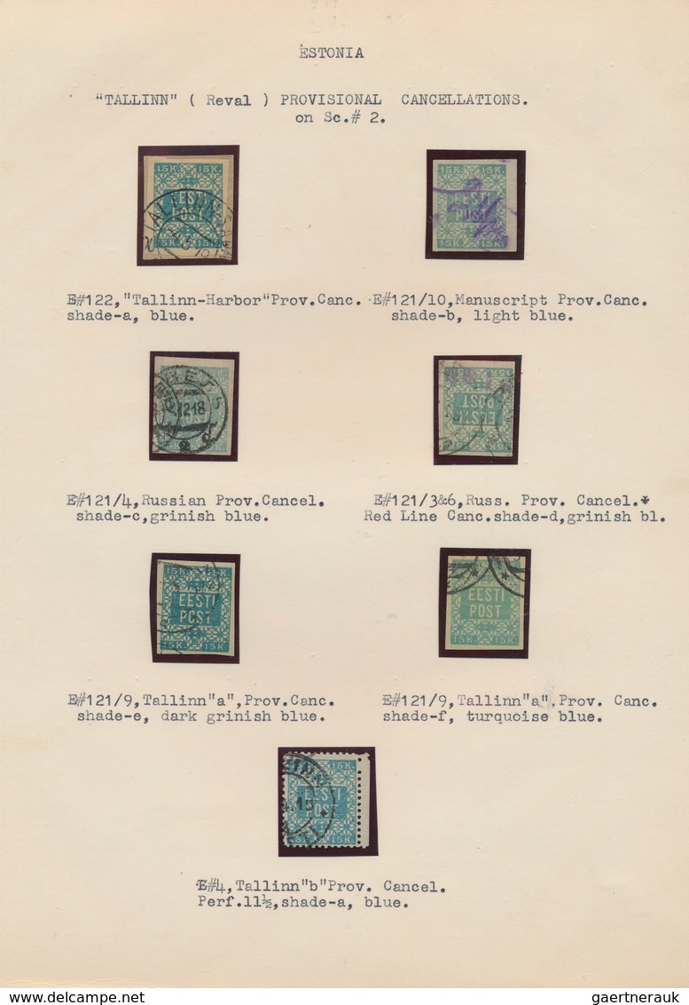 Estland: 1918/1920, Specialised Collection Of Early Issues, Neatly Arranged On Written Up Pages, Com - Estonie