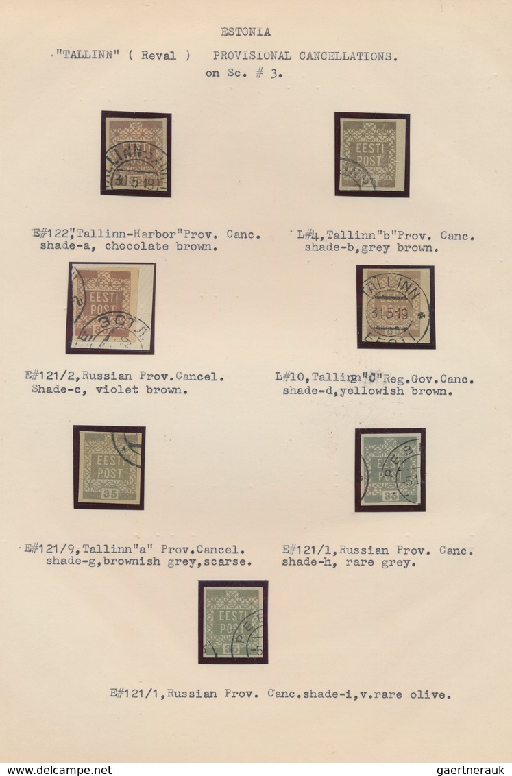 Estland: 1918/1920, Specialised Collection Of Early Issues, Neatly Arranged On Written Up Pages, Com - Estonie