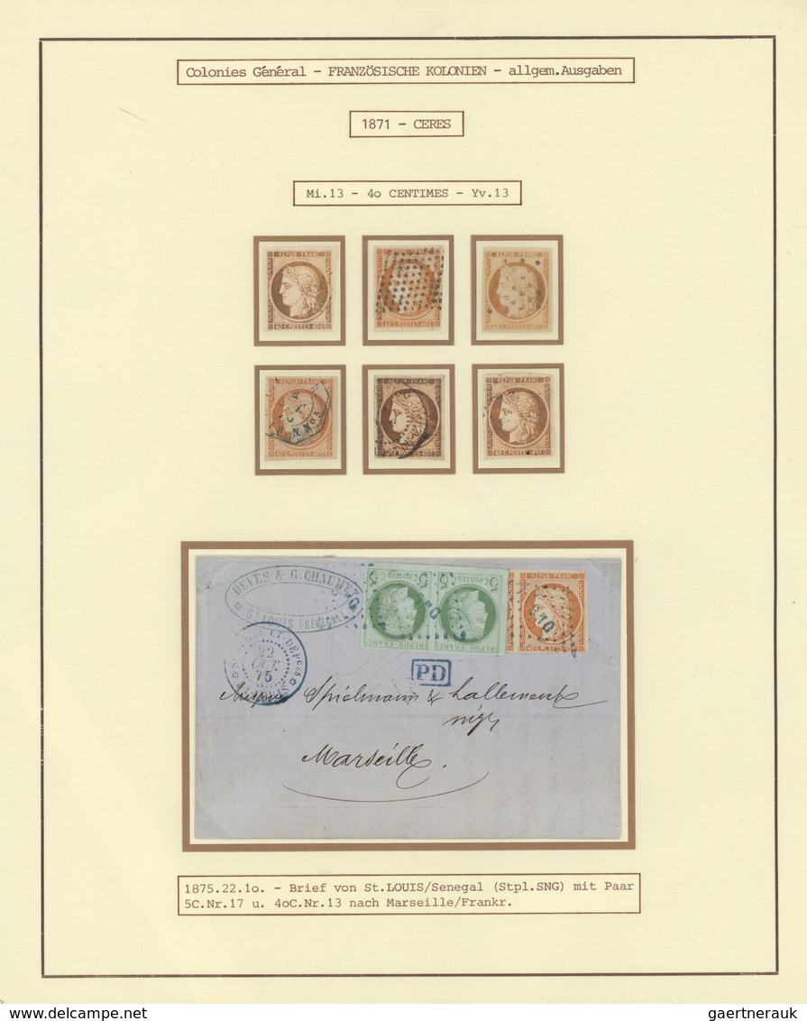 Französische Kolonien - Allgemeine Ausgabe: 1859/1890 (ca.), Used Collection On Written-up Album Pag - Other & Unclassified