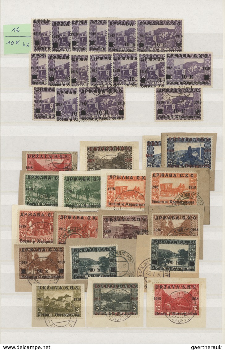 Jugoslawien: 1918/1919, Specialised Accumulation Of Apprx. 1.050 Stamps, Almost Exclusively Issues F - Used Stamps