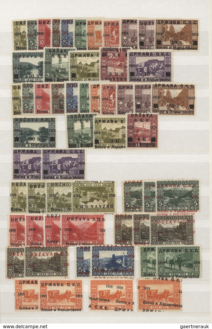 Jugoslawien: 1918/1919, Specialised Accumulation Of Apprx. 1.050 Stamps, Almost Exclusively Issues F - Usados