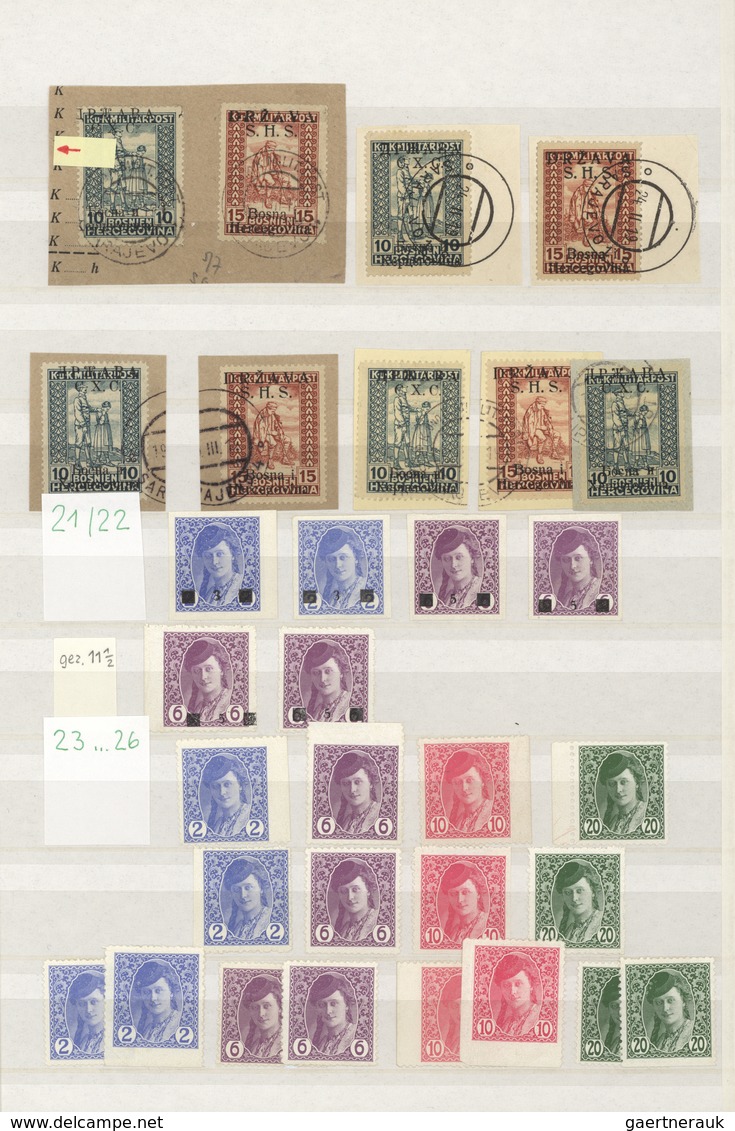 Jugoslawien: 1918/1919, specialised accumulation of apprx. 1.050 stamps, almost exclusively issues f