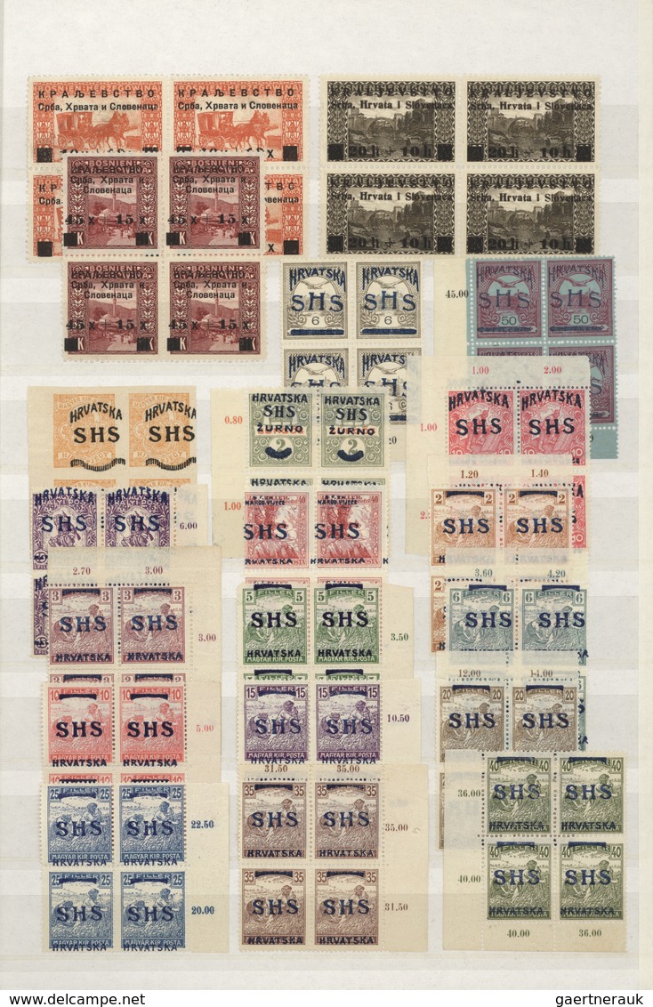 Jugoslawien: 1918/1919, specialised accumulation of apprx. 1.050 stamps, almost exclusively issues f