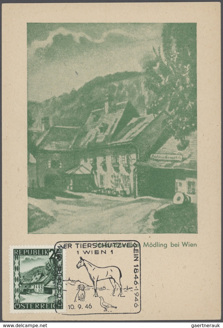 Österreich - Sonderstempel: 1945/1978, Sehr Reichhaltige Und Attraktive Sammlung Der Sonderstempel D - Machines à Affranchir (EMA)