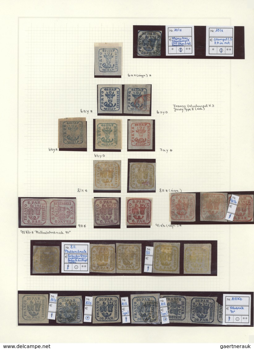 Rumänien: 1858/1928, Deeply Specialised Mint And Used Collection In A Binder, Neatly Arranged On Nea - Autres & Non Classés