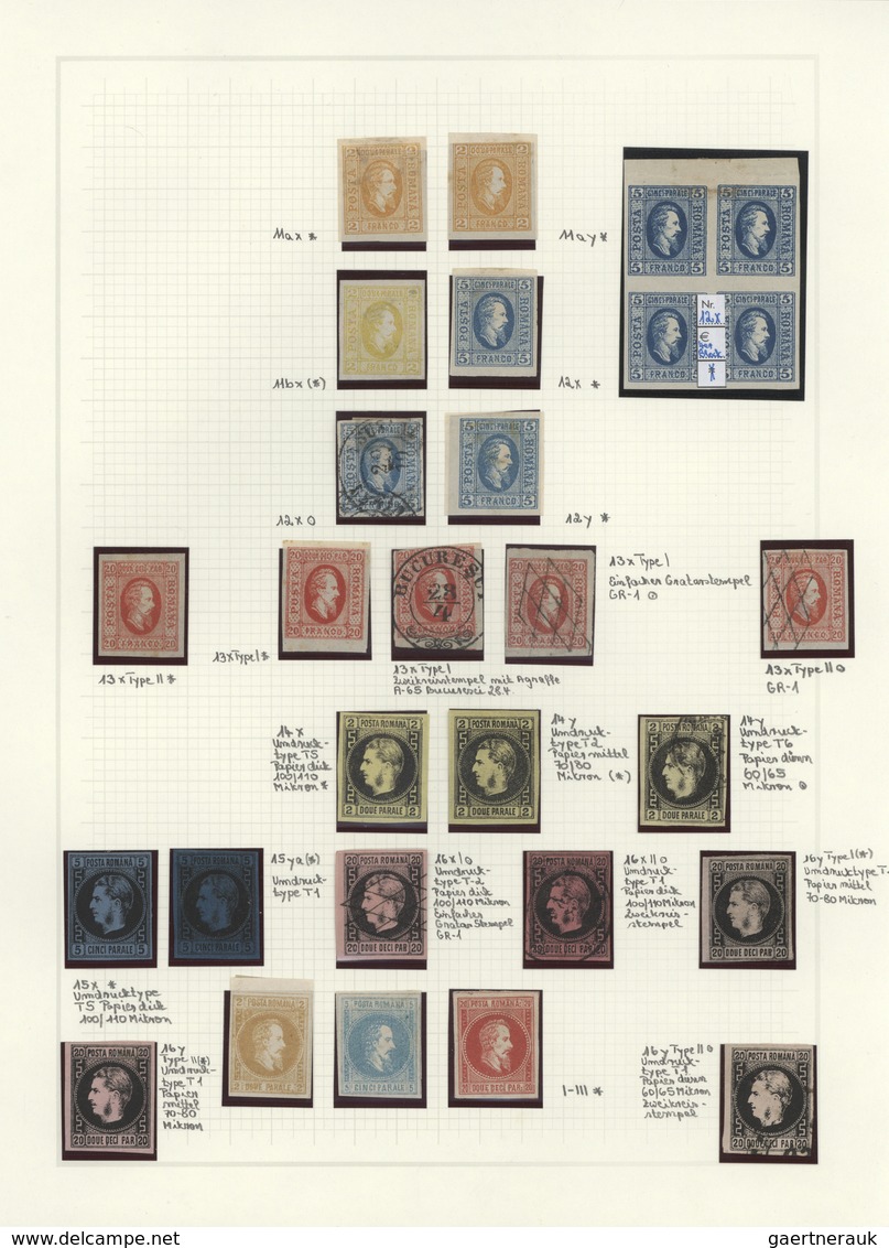 Rumänien: 1858/1928, Deeply Specialised Mint And Used Collection In A Binder, Neatly Arranged On Nea - Sonstige & Ohne Zuordnung