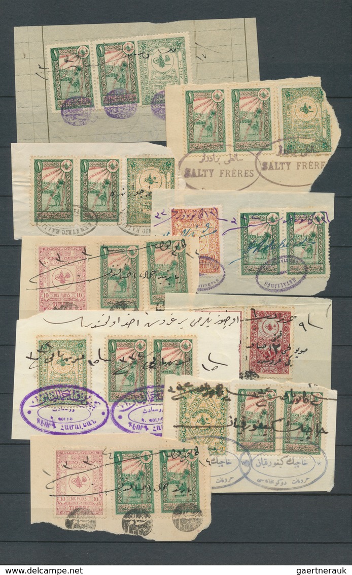 Türkei - Besonderheiten: 1900/1920 (ca.), FISCALS, Accumulation Of Apprx. 670 Stamps In A Stockbook, - Otros & Sin Clasificación