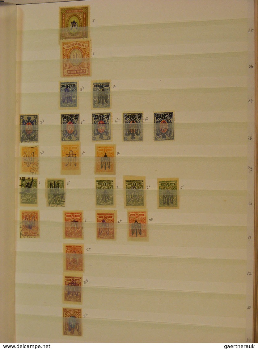 Ukraine: 1918/1919: Beautiful specialised collection with different types of overprints (different c