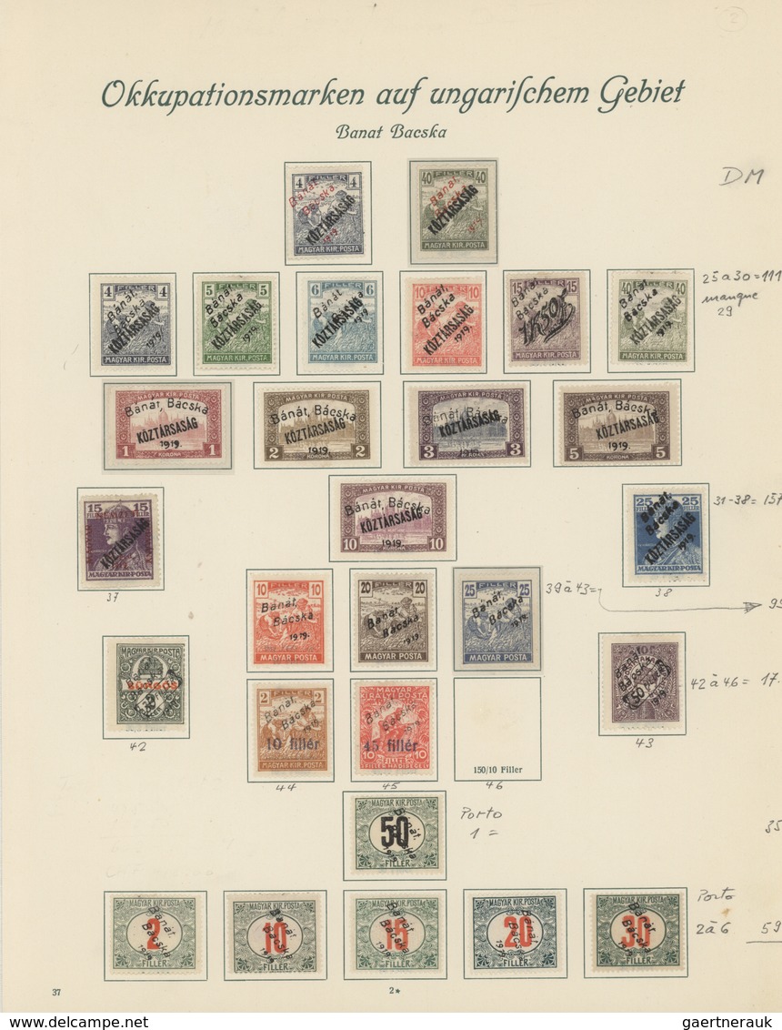 Ungarn - Besetzte Gebiete: Arad: 1919/1921, Mainly Mint Collection Of Apprx. 300 Stamps On Borek Alb - Autres & Non Classés