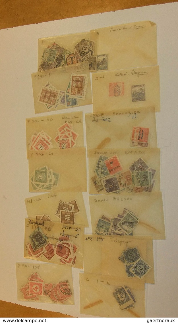 Europa - Ost: MNH, mint hinged and used lot Eastern Europe in glassines in box. Contains very much m