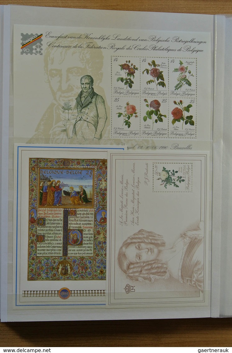 Europa - West: Collection of ca. 550 MNH souvenir sheets (and some stampbooklets) of Western Europe