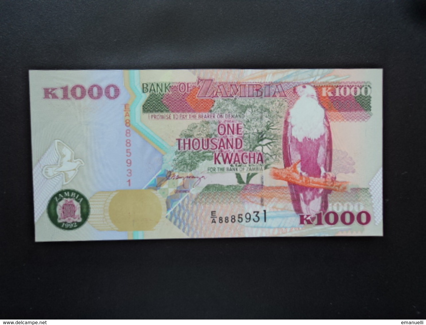 ZAMBIE : 1000 KWACHA  1992   P 40a     SUP+ - Zambia