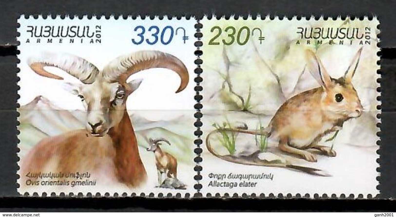 Armenia 2012 / Fauna Mammals MNH Säugetiere Mamíferos / Cu9630  1 - Other & Unclassified