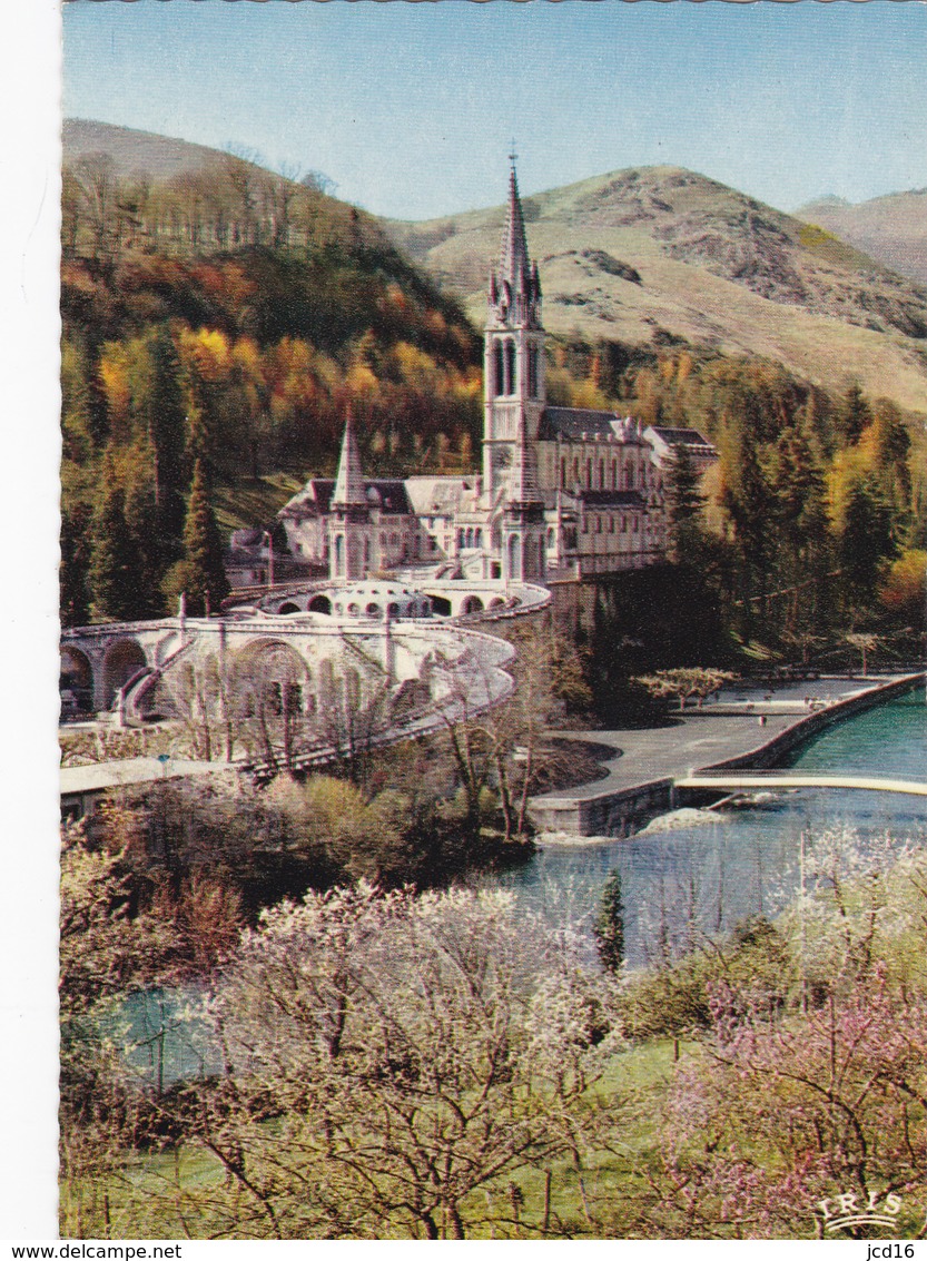 65 LOURDES La Basilique Et La Gave N°104B édit: IRIS - Lourdes