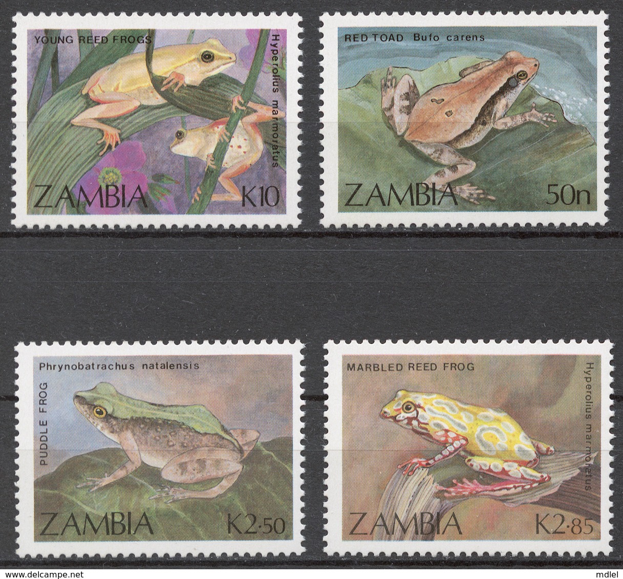 Zambia 1989 Mi# 470-73** FROGS AND TOADS - Zambie (1965-...)