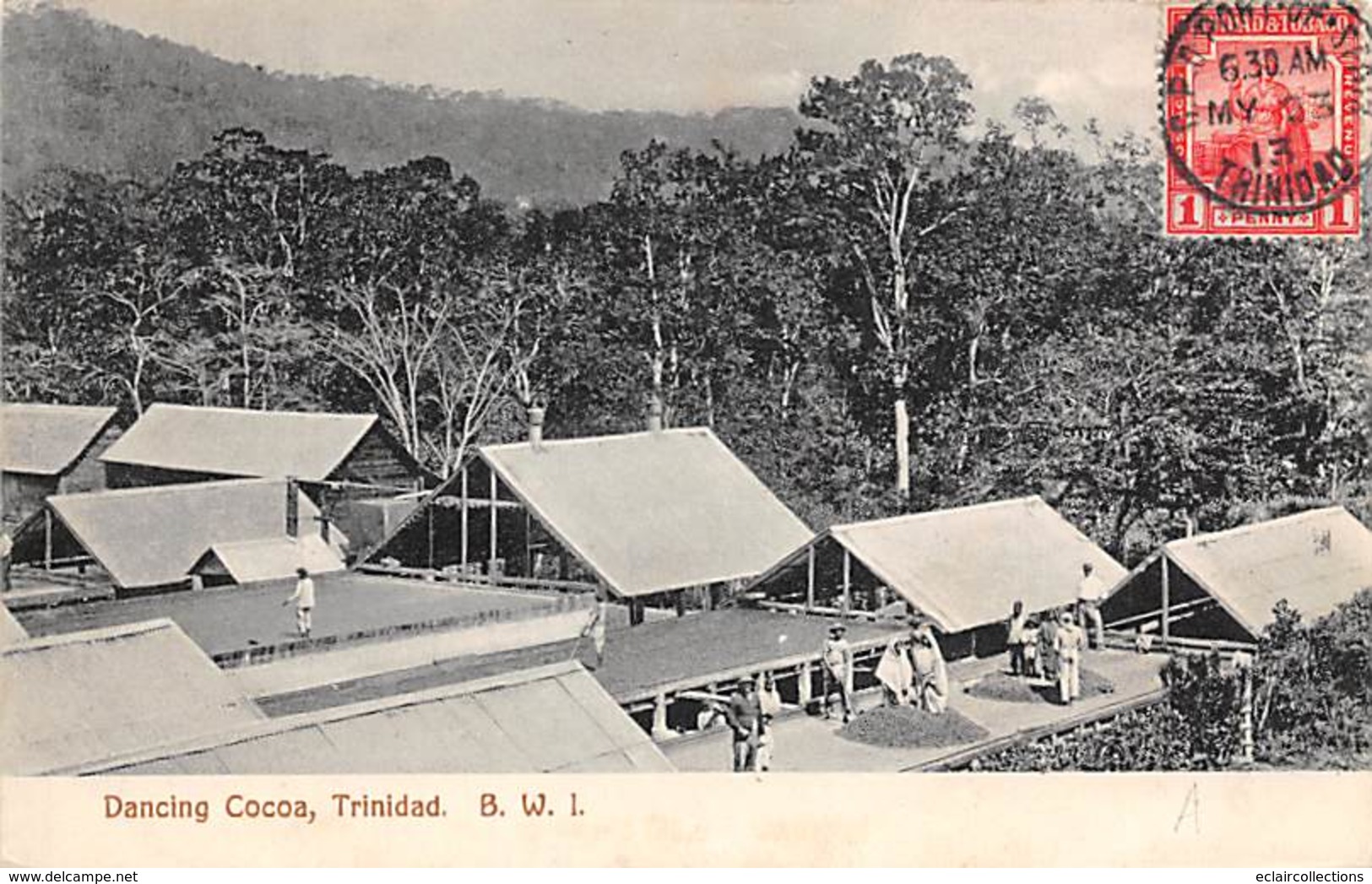 Antilles  .Trinidad      Dancing Cocoa      (voir Scan) - Trinidad