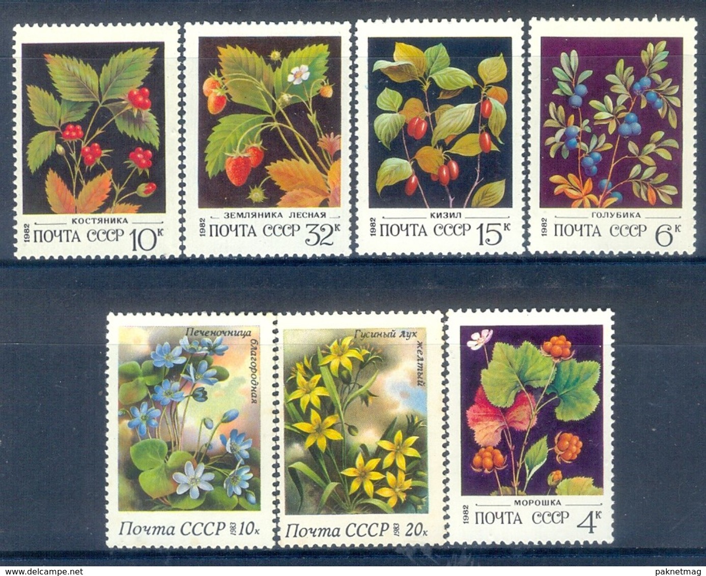 M2- Russia USSR CCCP 1982 Flowers. - Other & Unclassified