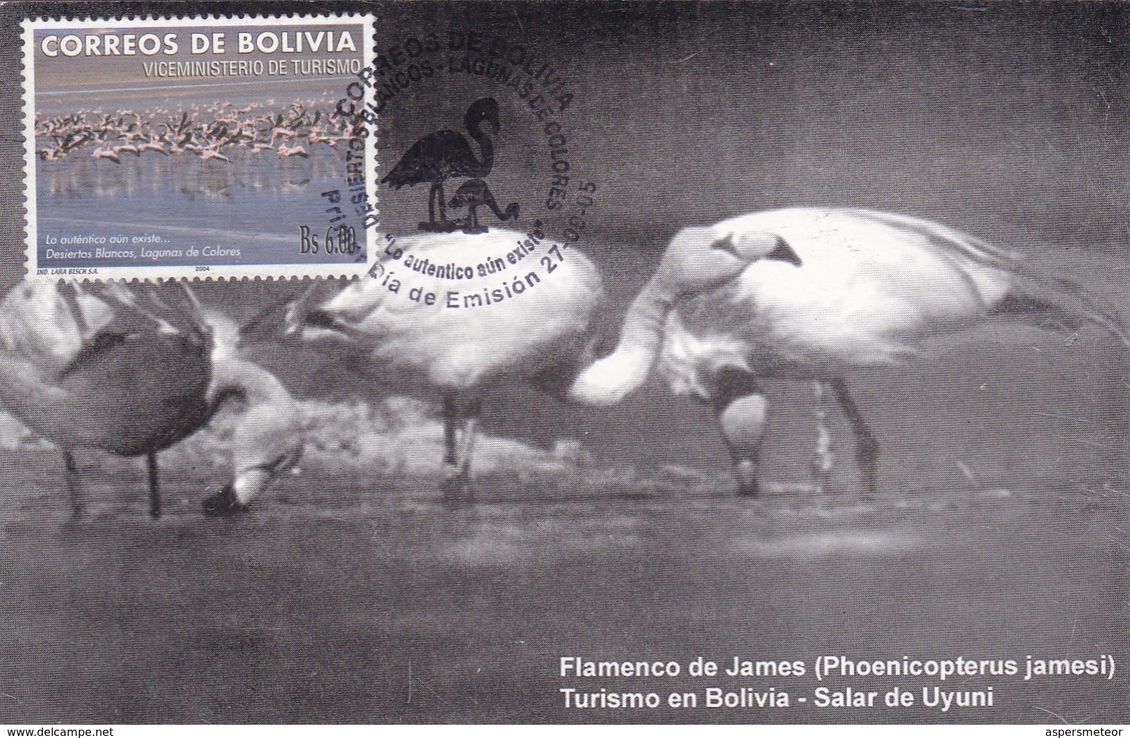 FDC. FLAMENCO DE JAMES PHENICOPTERUS JAMESI AÑO 2005, CORREOS DE BOLIVIA - BLEUP - Bolivië