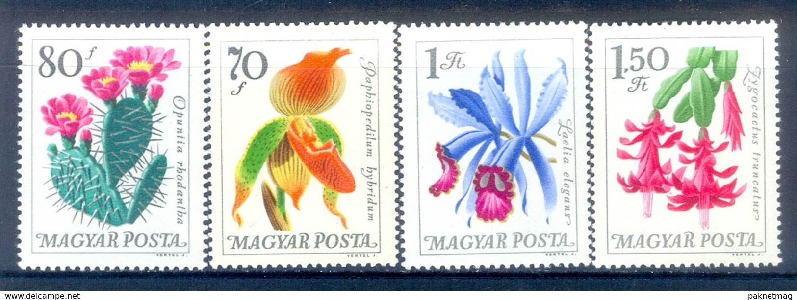 M12- Magyar Hungrey Flowers. - Other & Unclassified