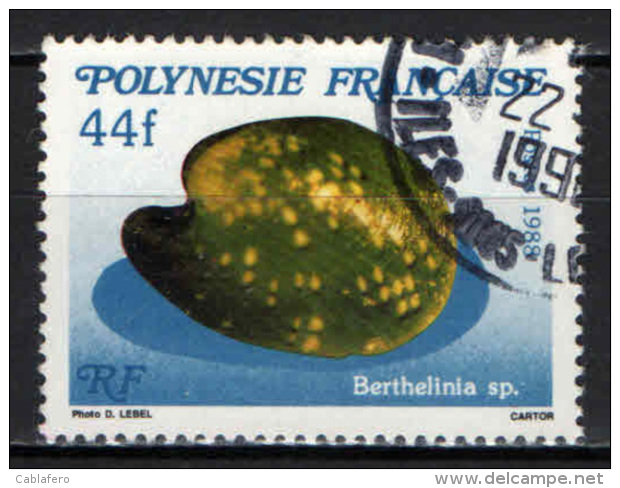 POLINESIA FRANCESE - 1988 - CONCHIGLIA: BERTHELINIA - USATO - Usati
