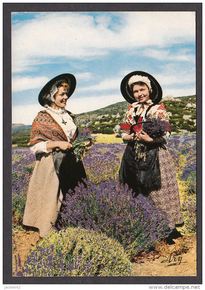 89396/ CULTURES, Cueillette De La Lavande, Folklore Provençal - Culture