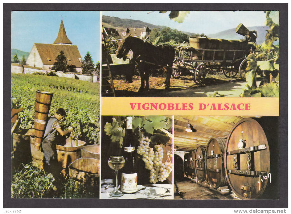 89405/ VIGNES ET VINS, Vignobles D'Alsace - Vines