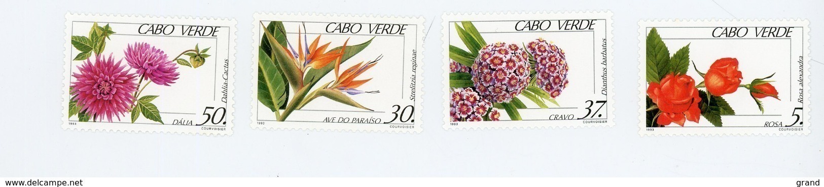 Cap Vert-Cabo Verde-1993-Fleurs,rose,cactus..-YT 643/6***MNH - Kaapverdische Eilanden